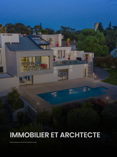 IMMOBILIER drone